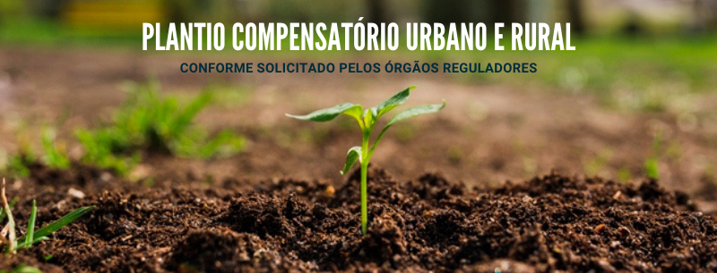 Plantio Compensatrio Urbano e Rural 